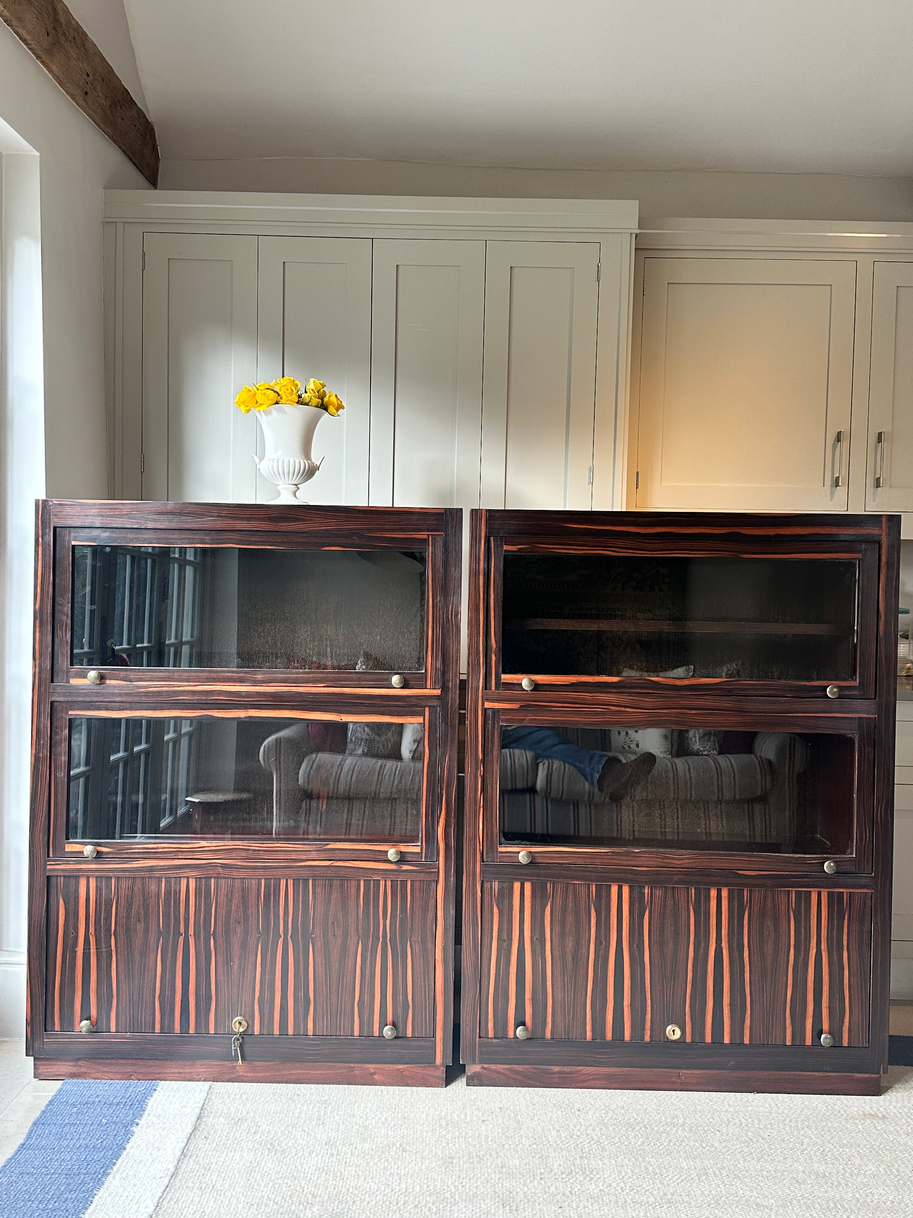 Pair of Early 20th Century Macassar Bookcases