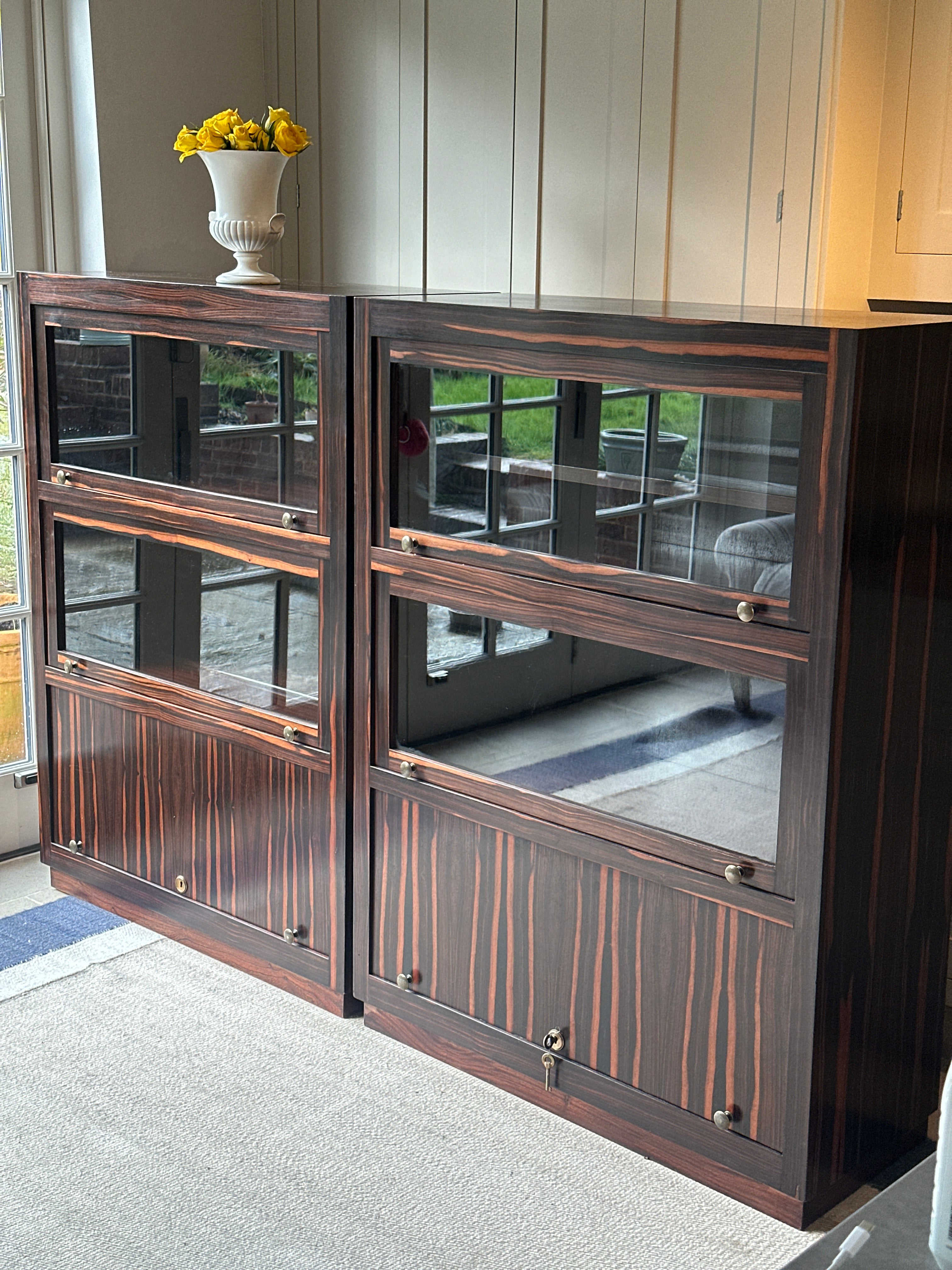 Pair of Early 20th Century Macassar Bookcases