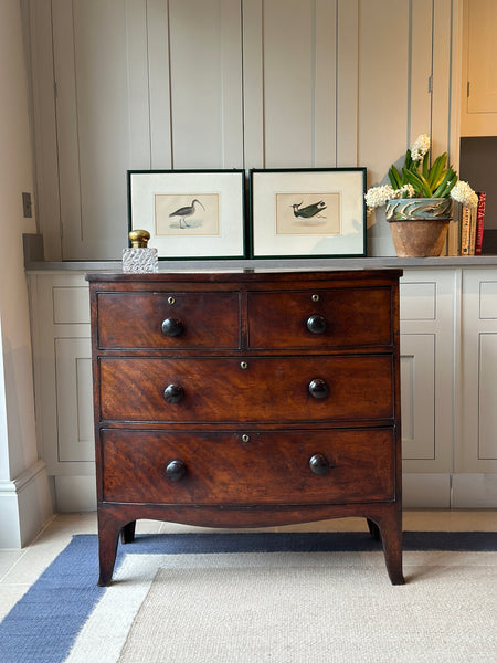 Small Bow Fronted Mahogany Chest of Drawers