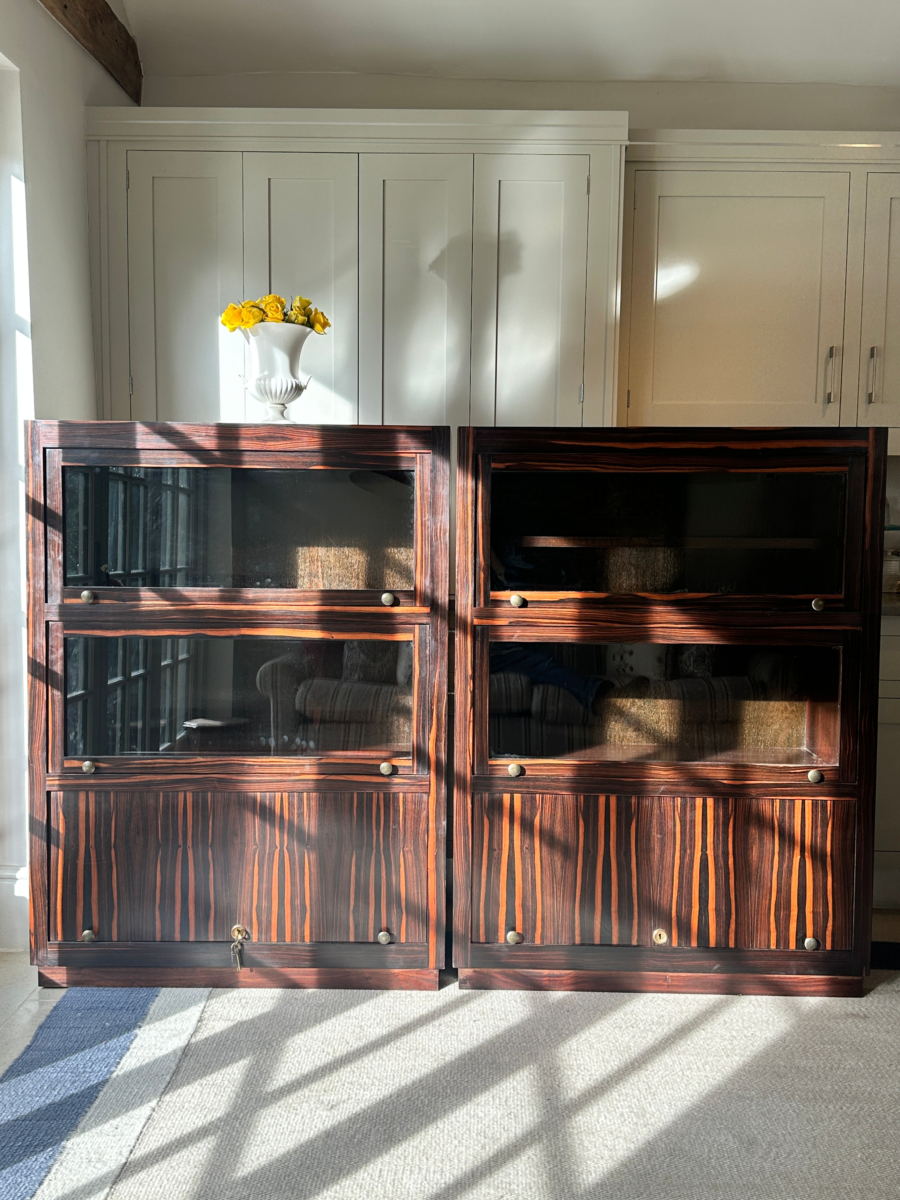 Pair of Early 20th Century Macassar Bookcases