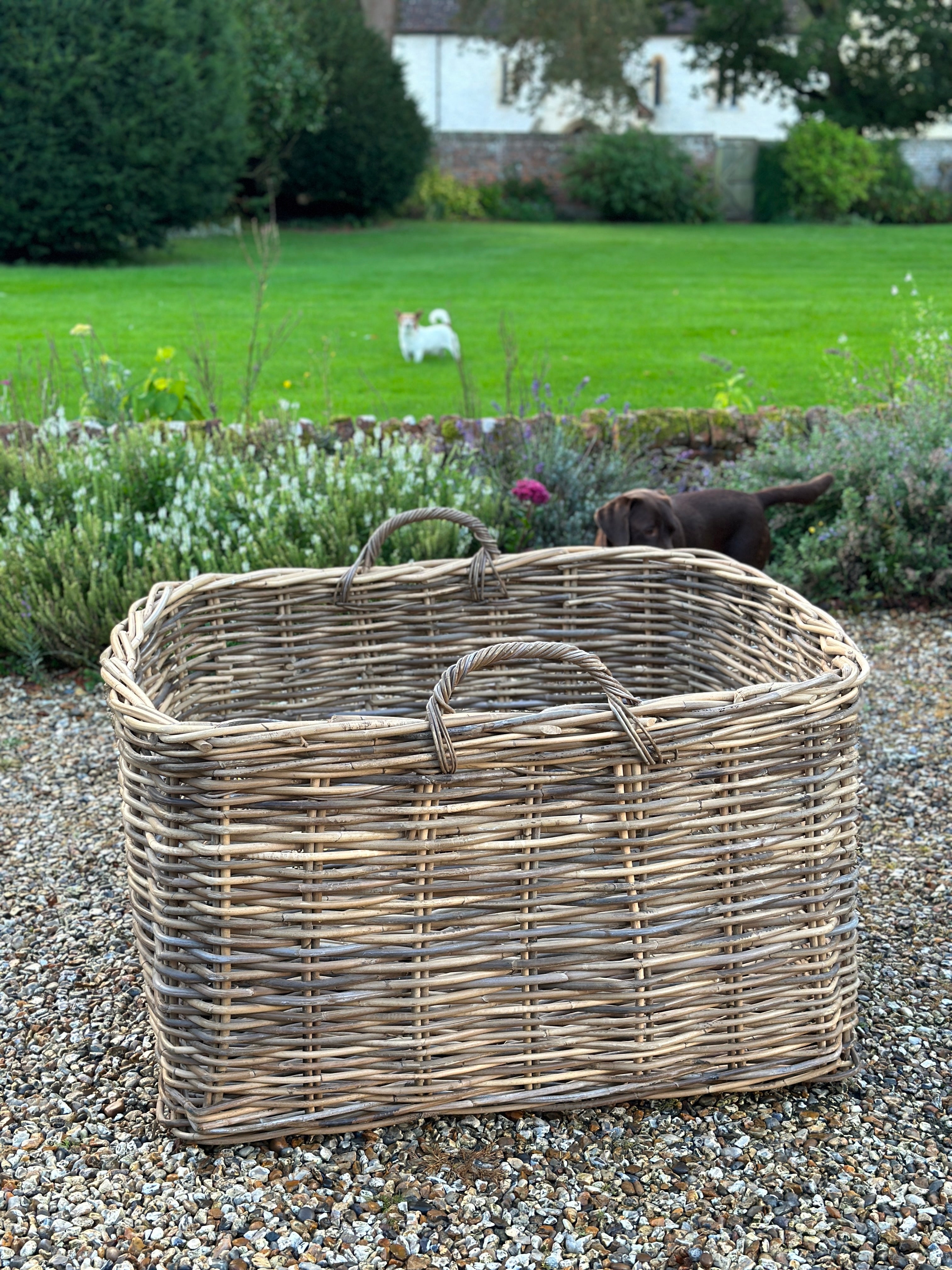 Extra Large Cane Log Basket with Handles