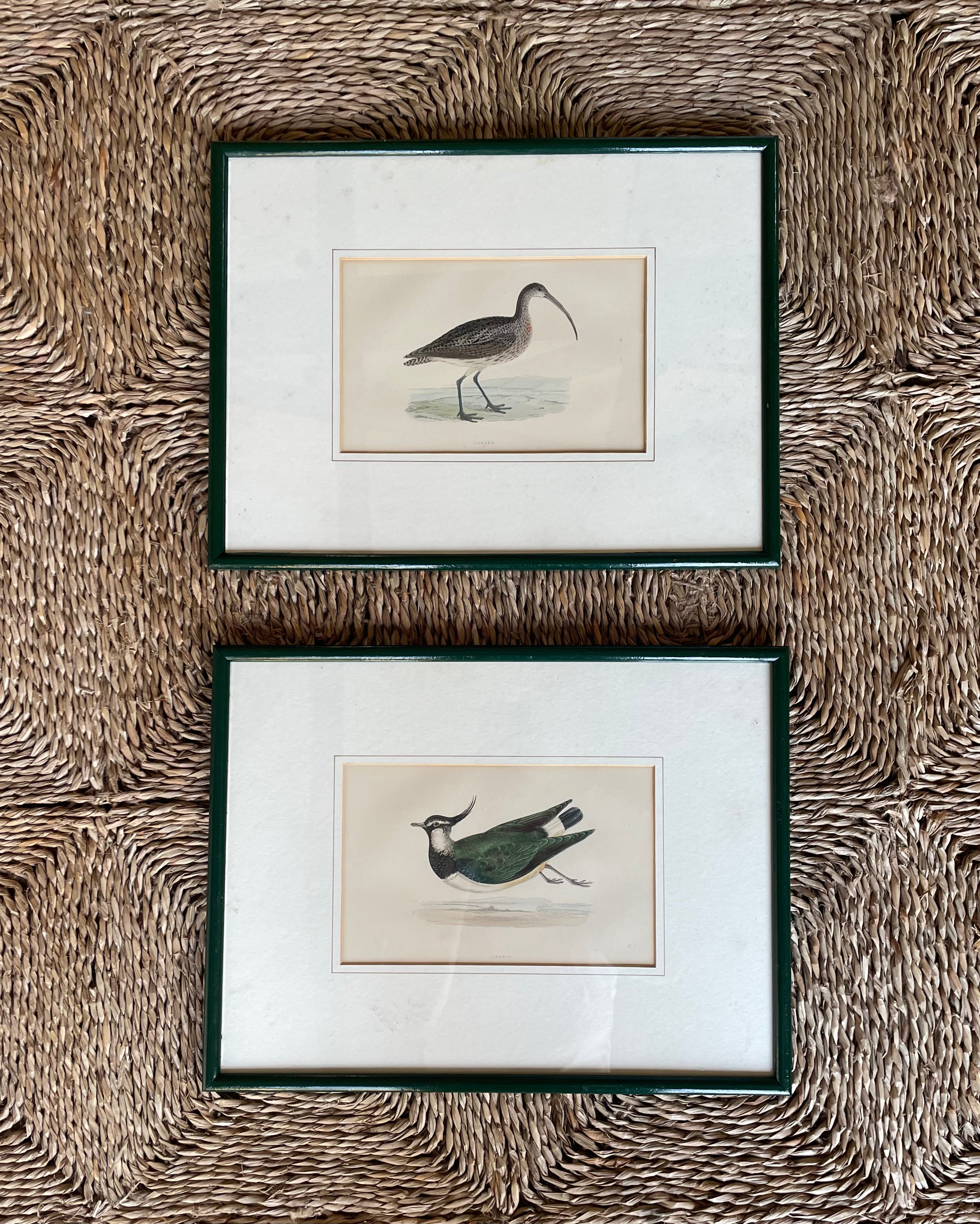 Pair of Hand Painted Birds in Dark Green Frames