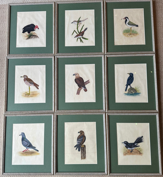 Framed Hand Painted on Silk - Indian Birds E