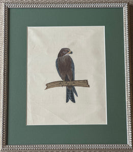 Framed Hand Painted on Silk - Indian Birds J