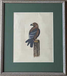 Framed Hand Painted on Silk - Indian Birds H