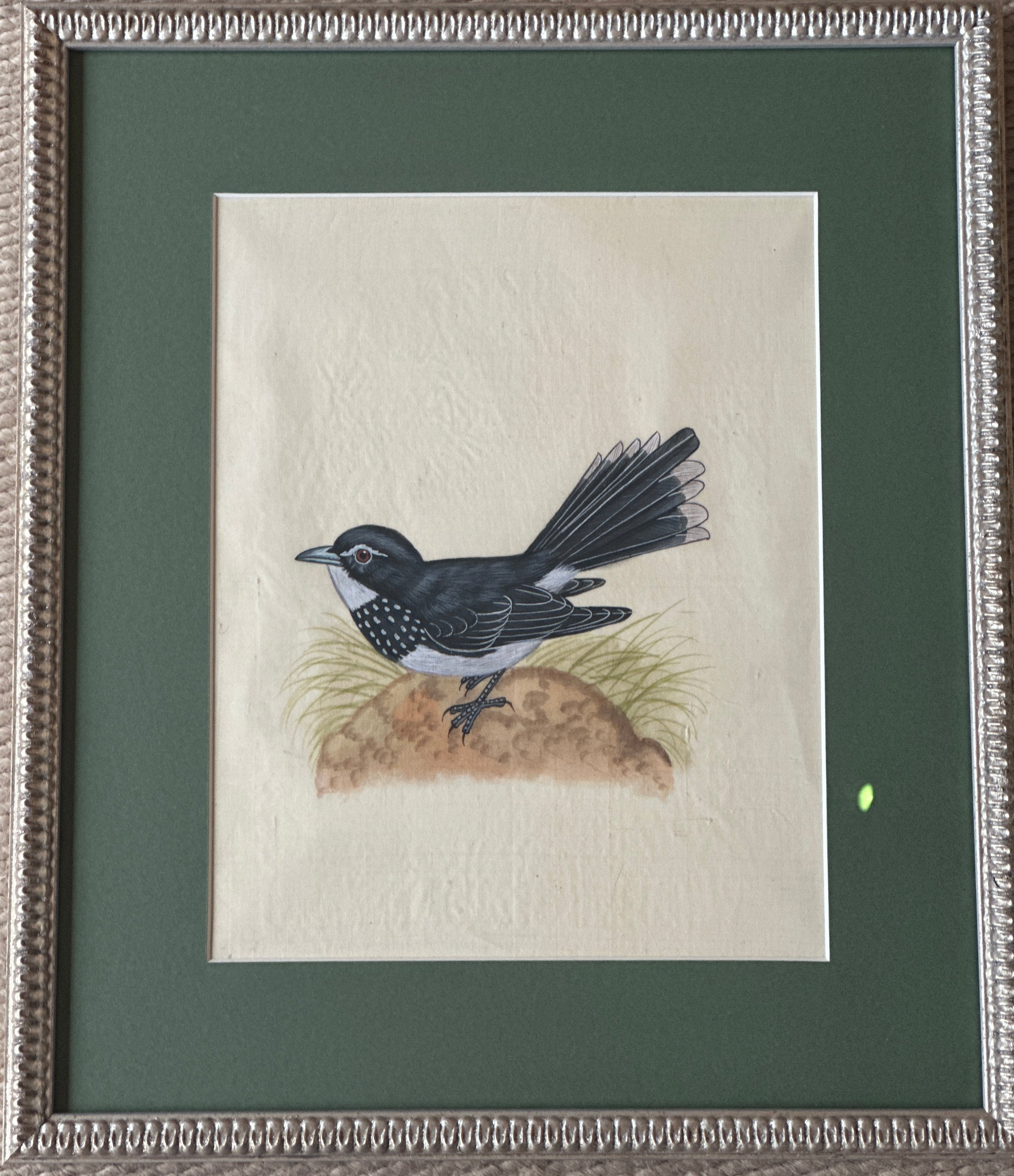 Framed Hand Painted on Silk - Indian Birds G