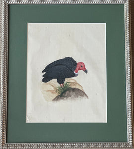 Framed Hand Painted on Silk - Indian Birds E