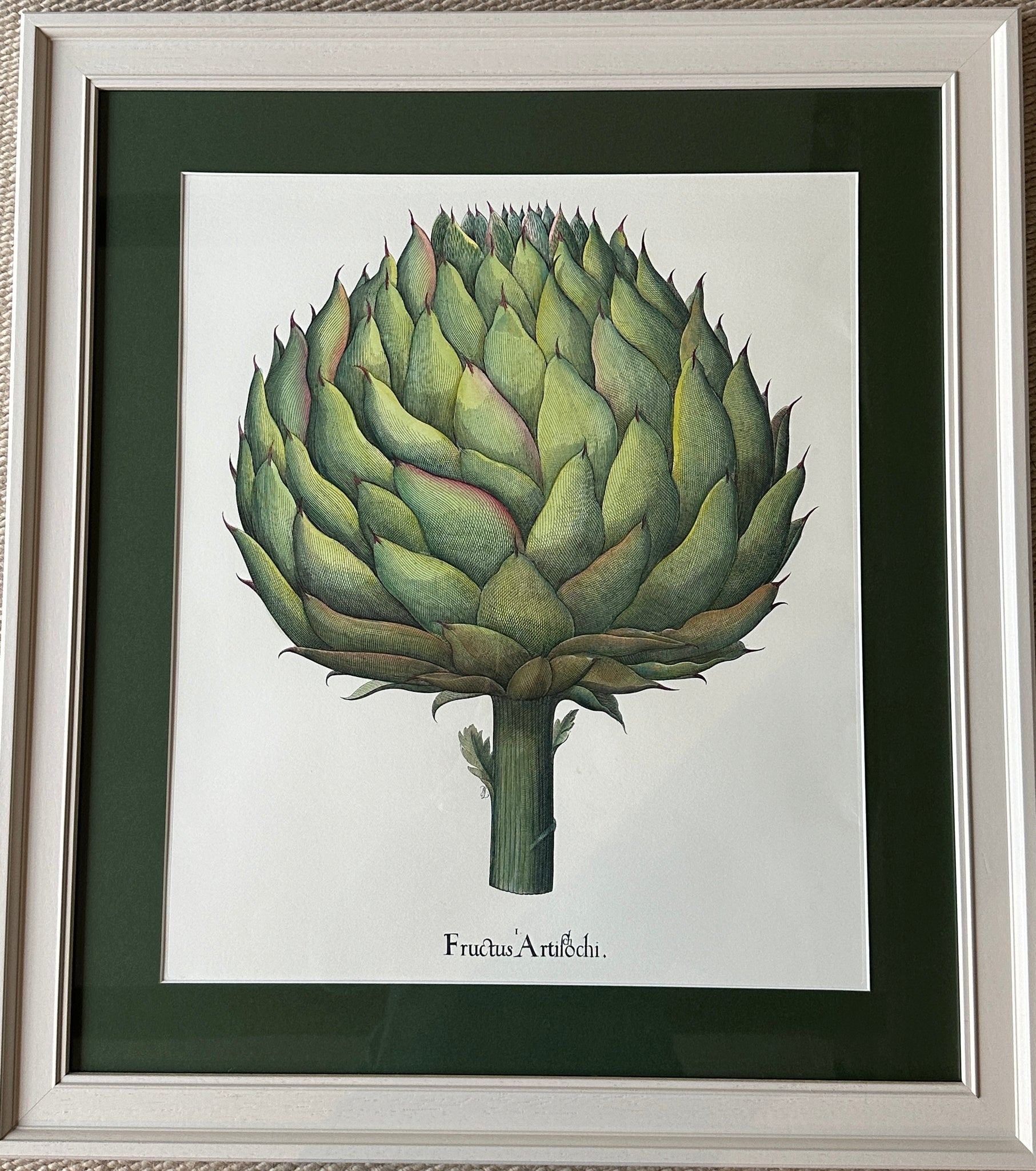 Large Framed Botanical Print of Beautiful Artichoke