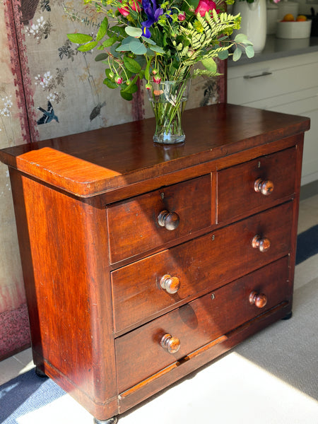 Small Mahogany Chest of Drawers