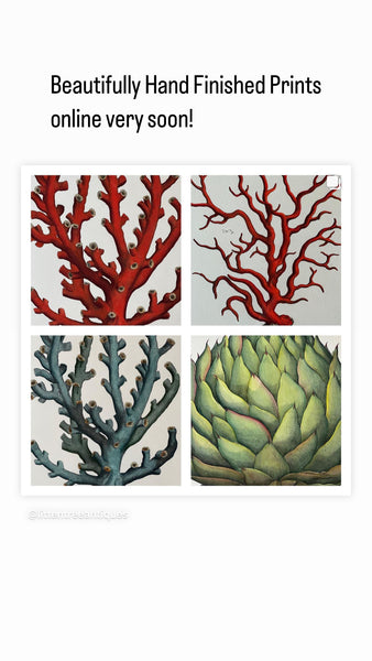 Botanical Prints of Blue Coral