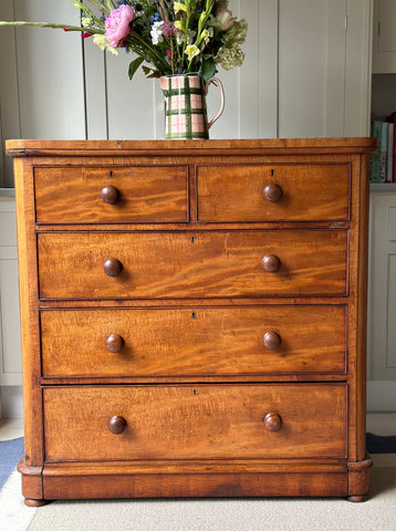 Large Faded Mahogany Chest of Drawers