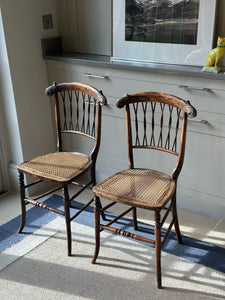 Reserved Rosewood and Cane Pair of Chairs