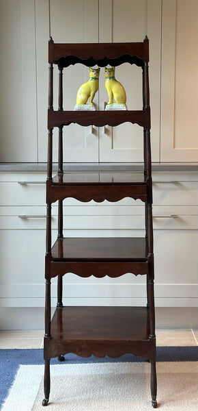 19th Century Mahogany Whatnot with 5 Tiers and 2 Opening Drawers