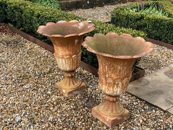Late 19th/Early 20th Century Tulip  Cast Iron Urns