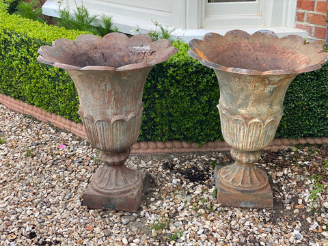 Pair of Late 19th/Early 20th C Cast Iron Tulip Urns
