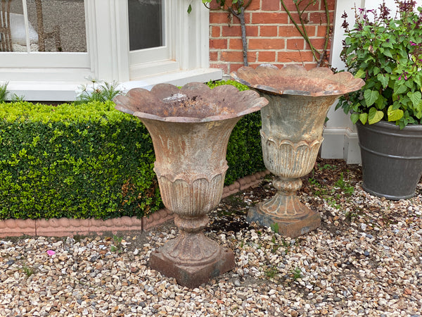 Pair of Late 19th/Early 20th C Cast Iron Tulip Urns