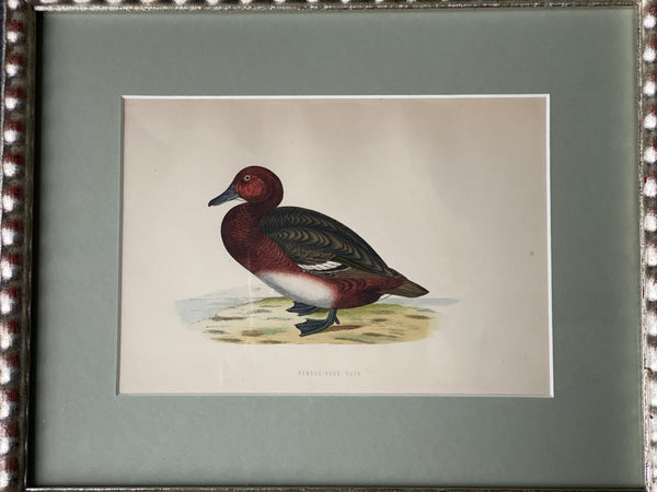 Hand Painted Watercolours Birds in Bobbin Frames