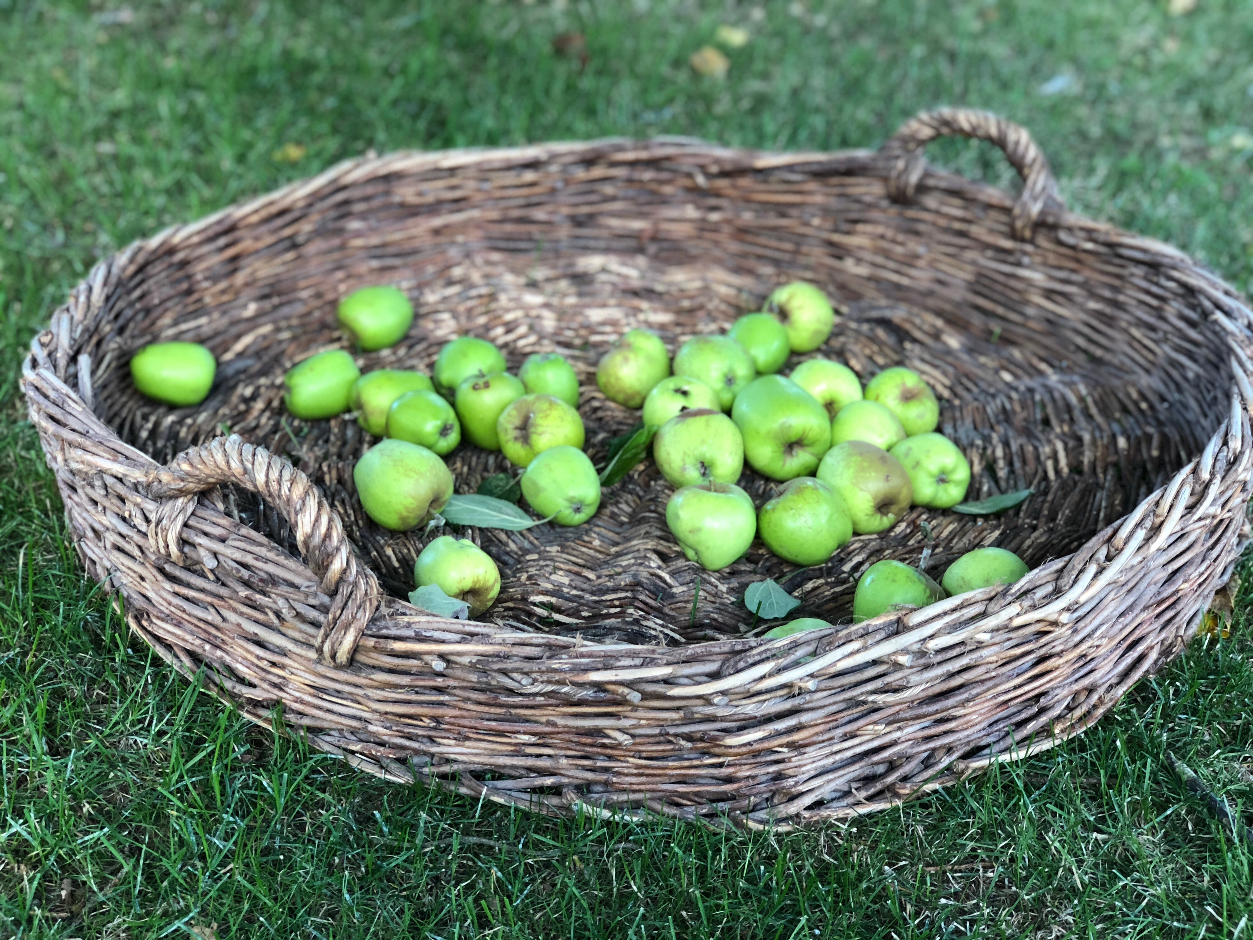 Large circular basket