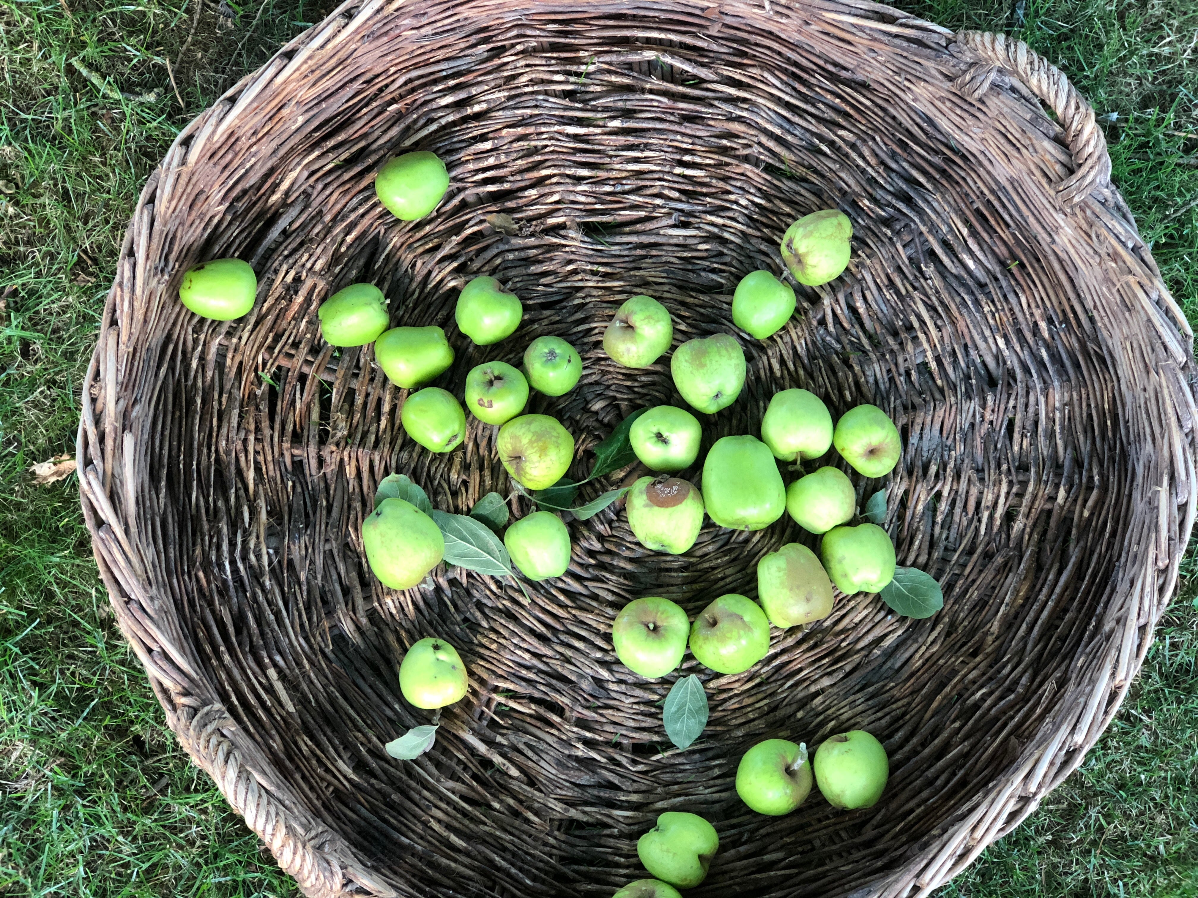 Large circular basket