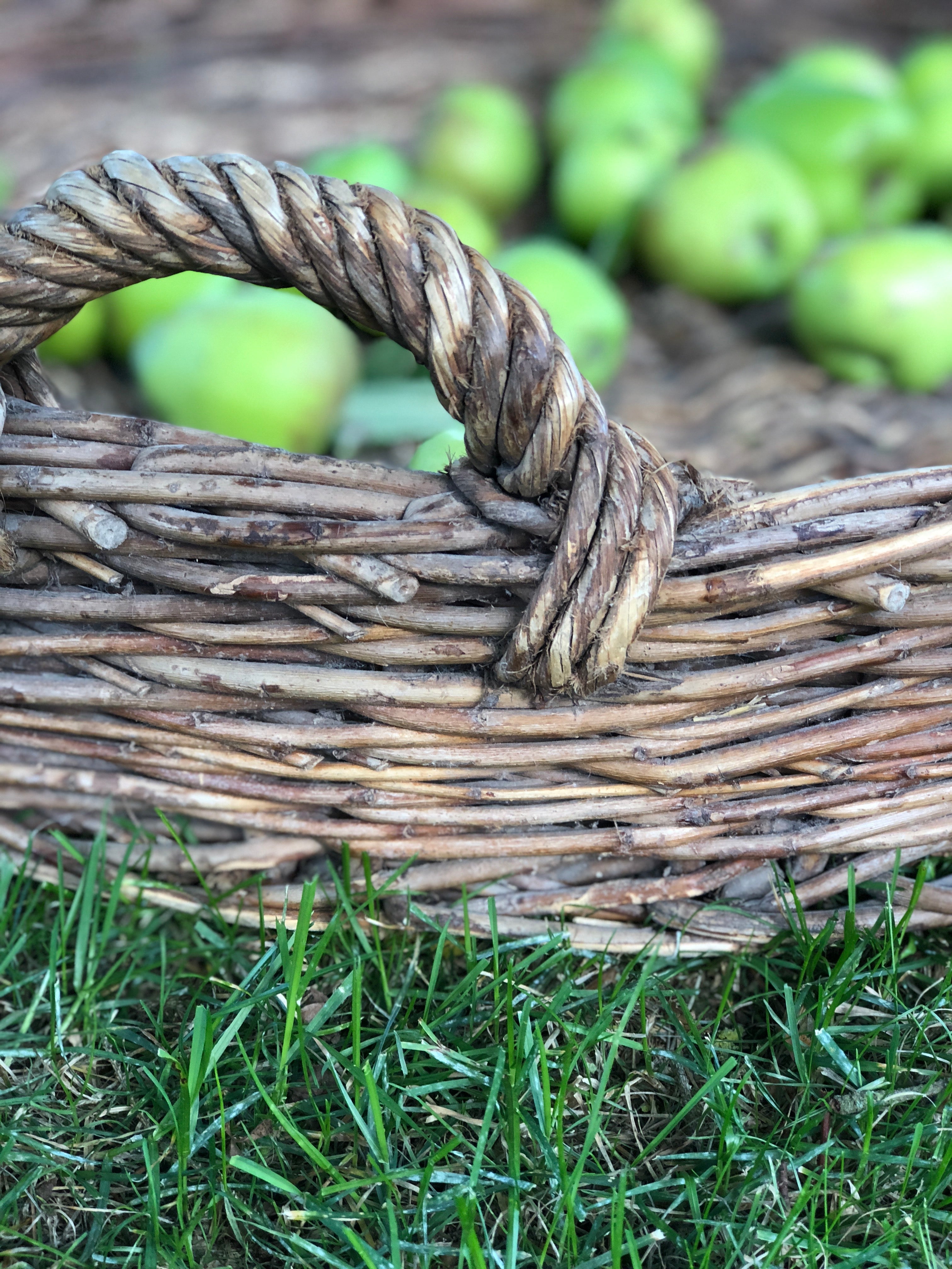 Large circular basket