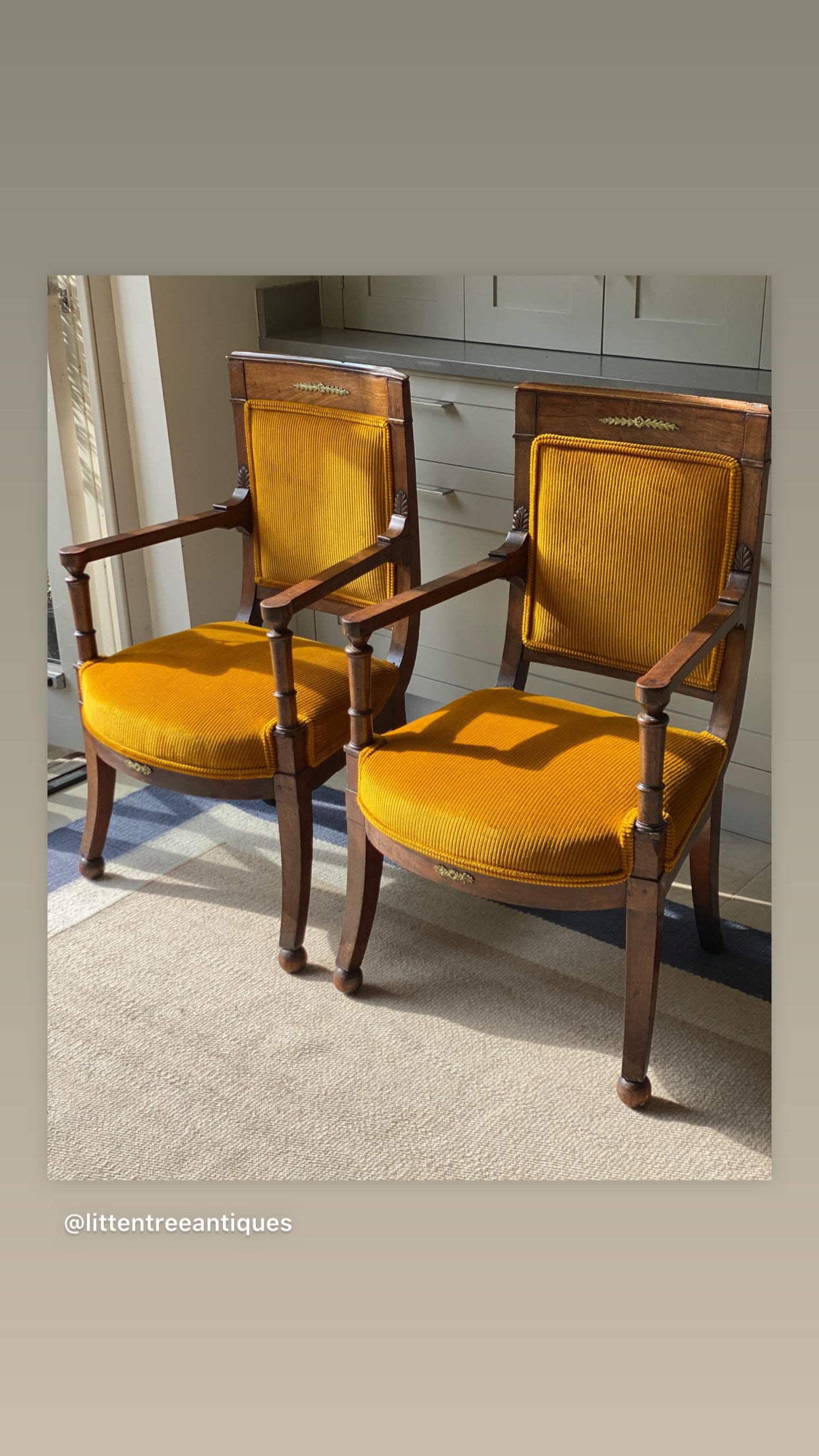 Pair of Napoleon III Directoire Armchairs