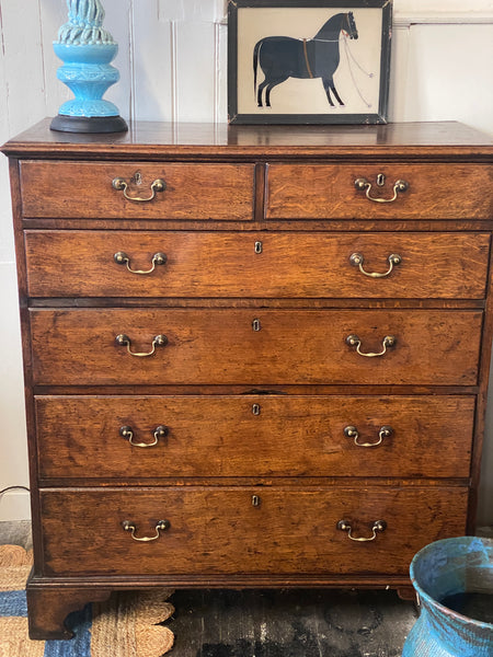 A really striking tall but slim oak chest of drawers