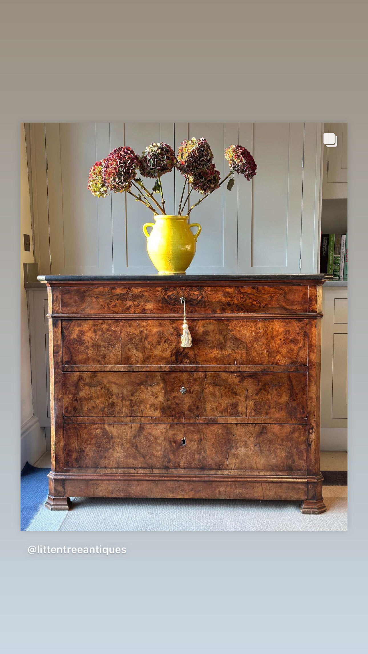 French Burr Walnut Commode and marble top