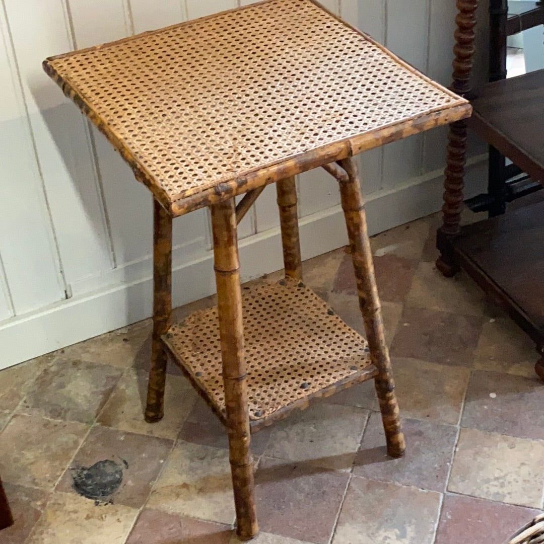 Bamboo and Cane Plant Table