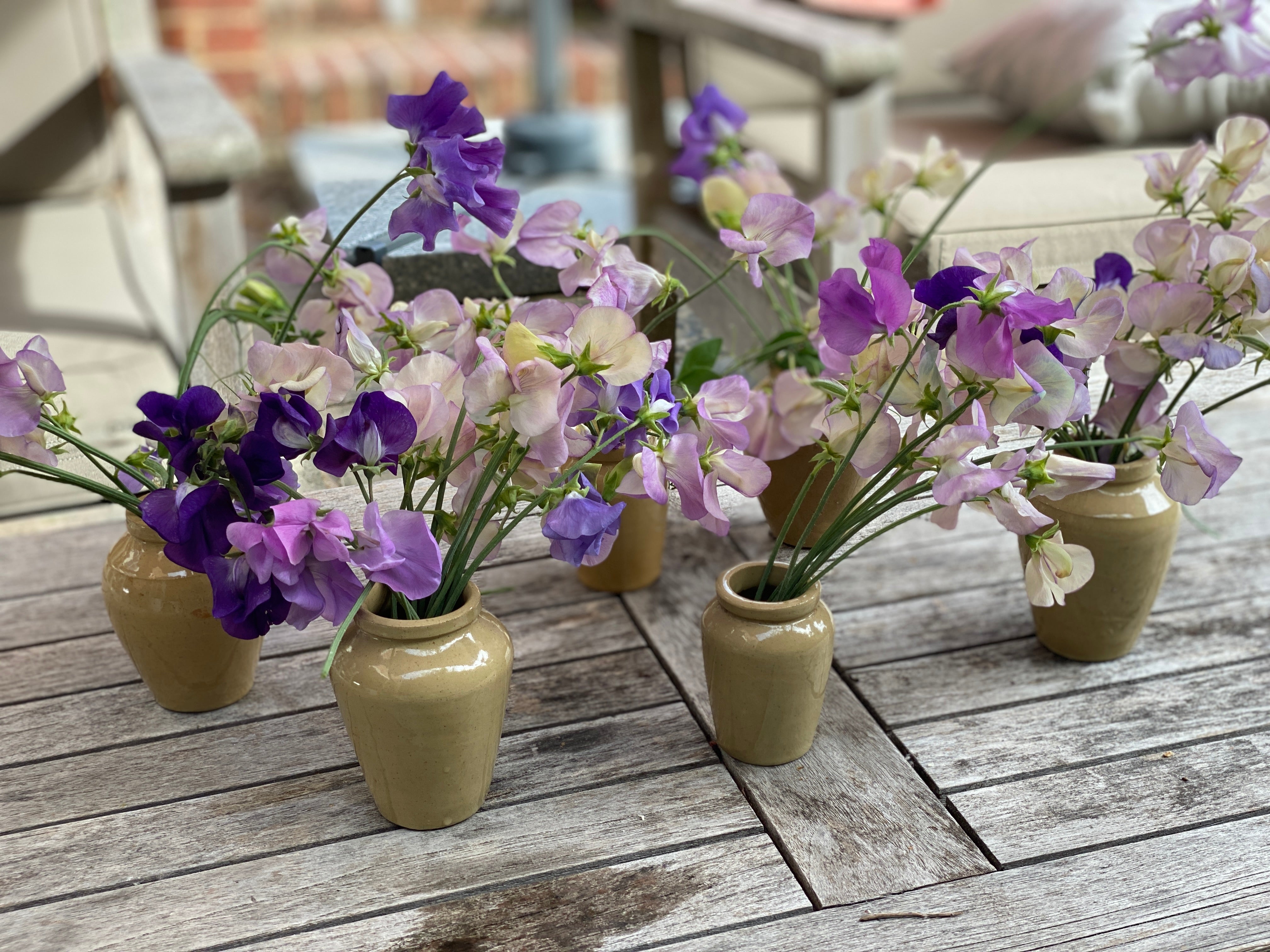 Set of 5 Small Mustard Pots