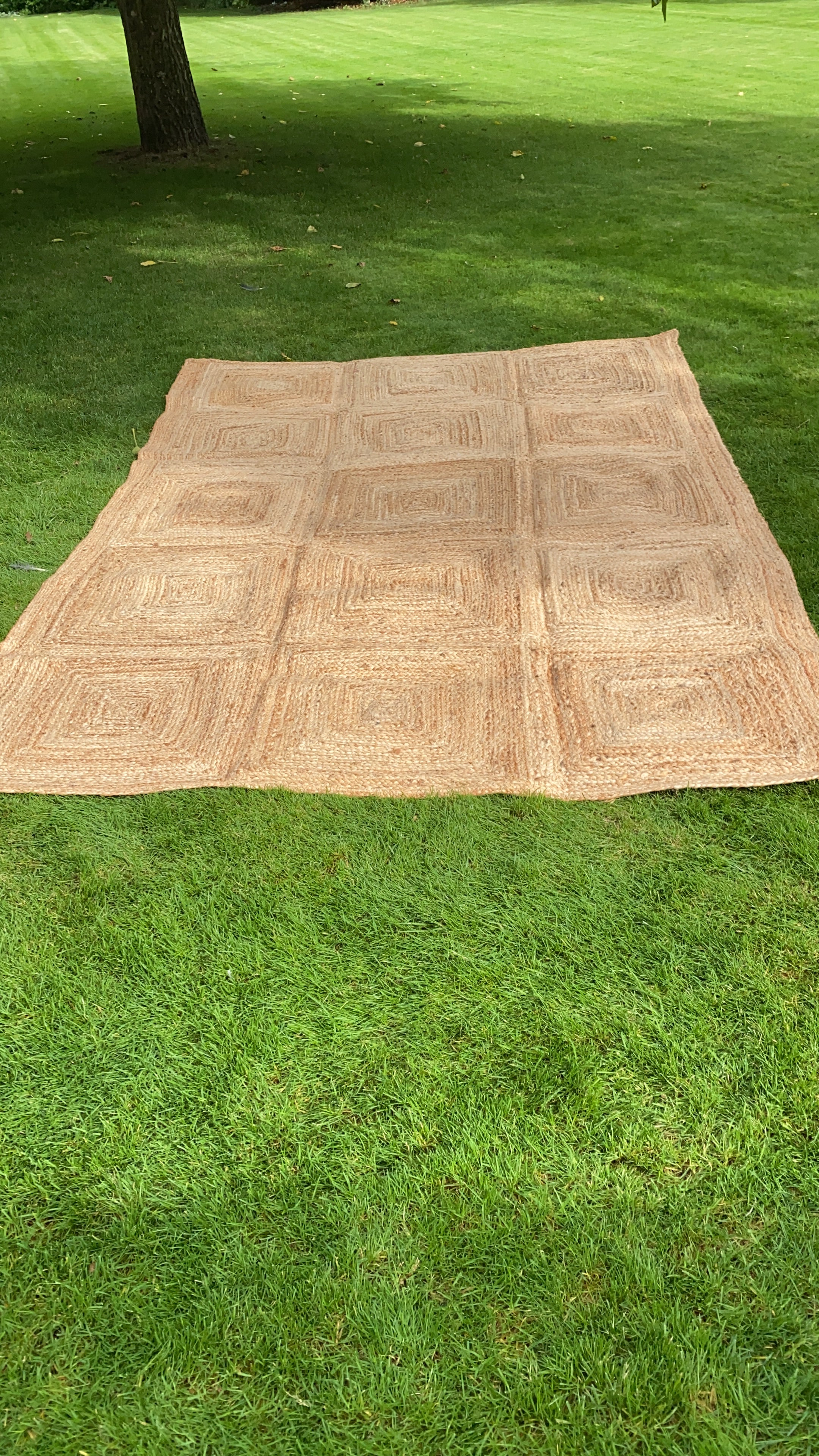 Jute Squared Rugs