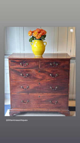 Immaculate Georgian Chest of Drawers